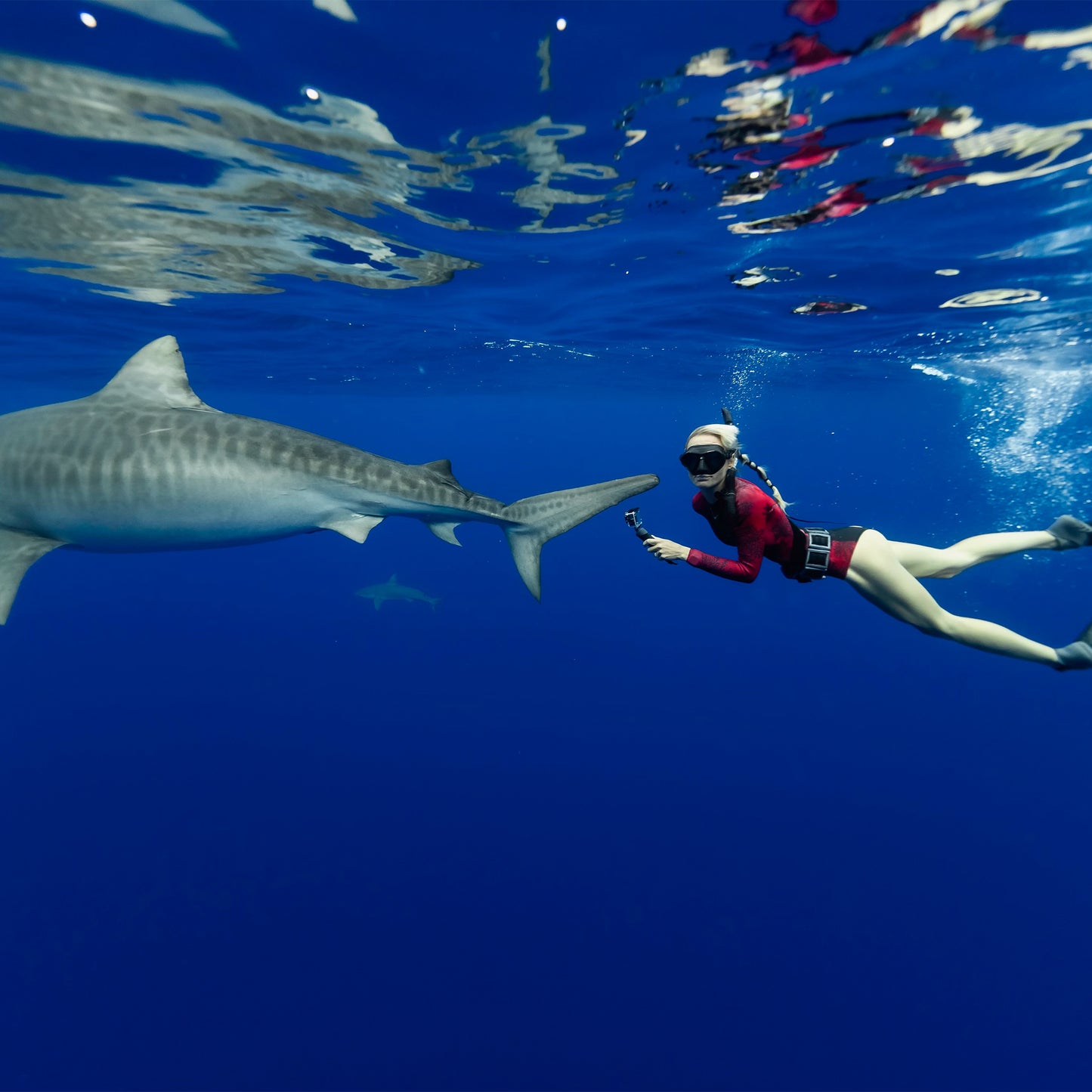 Women's Ocean Ramsey Water Inspired Axis Long Sleeve Back Zip Glide Skin Springsuit 2mm