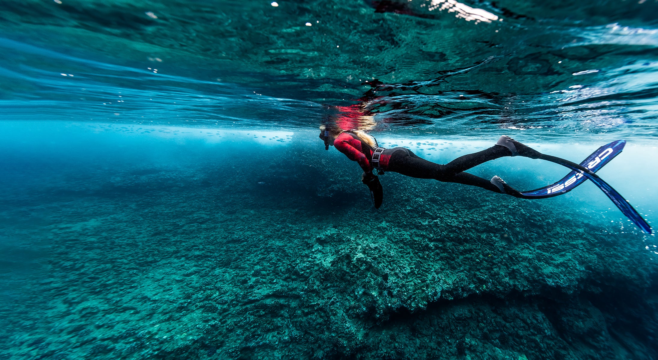 diver snorkeling underwater