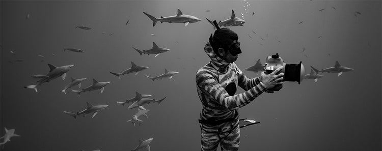 Juan Sharks | Water Inspired
